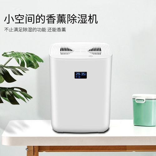 清明過后，潮氣噠噠，怎么除潮？