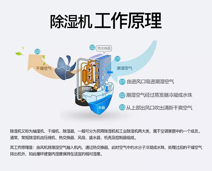 潮濕天氣狗最容易患上這種毛??！三個(gè)注意事項(xiàng)，鏟屎官一定要看看