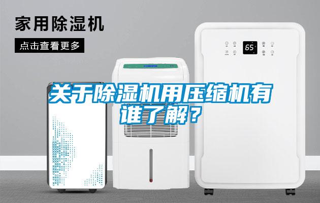 關(guān)于除濕機用壓縮機有誰了解？