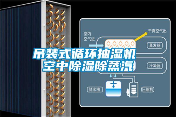 吊裝式循環(huán)抽濕機 空中除濕除蒸汽
