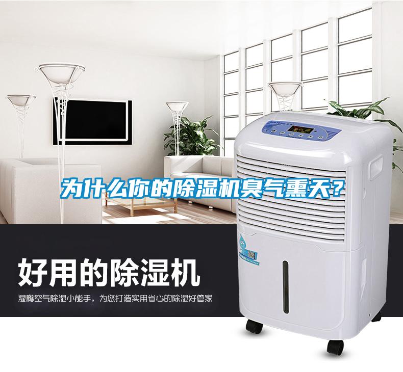 為什么你的除濕機(jī)臭氣熏天？