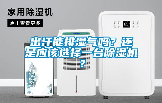 出汗能排濕氣嗎？還是應(yīng)該選擇一臺(tái)除濕機(jī)？