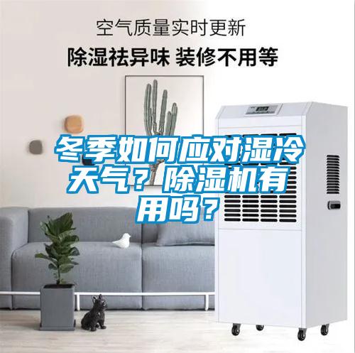 冬季如何應(yīng)對濕冷天氣？除濕機有用嗎？