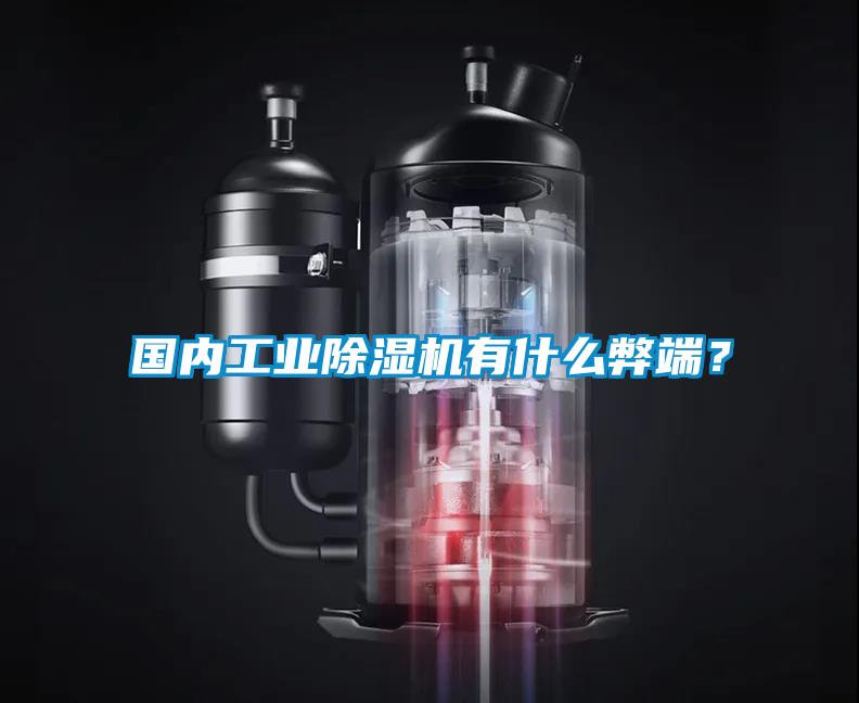 國內工業(yè)除濕機有什么弊端？