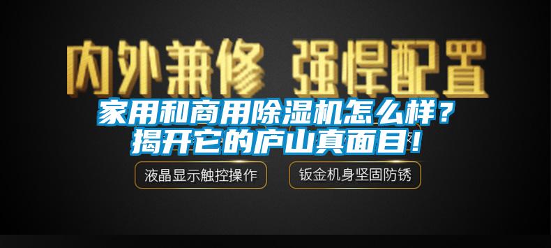 家用和商用除濕機(jī)怎么樣？揭開它的廬山真面目！