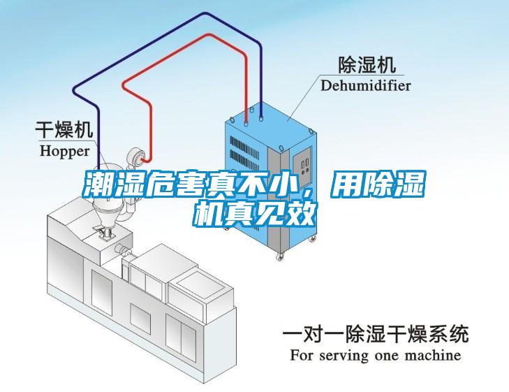 潮濕危害真不小，用除濕機(jī)真見效