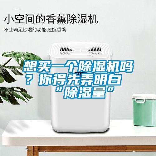 想買一個(gè)除濕機(jī)嗎？你得先弄明白“除濕量”