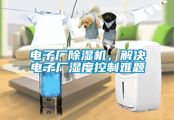 電子廠除濕機(jī)，解決電子廠濕度控制難題