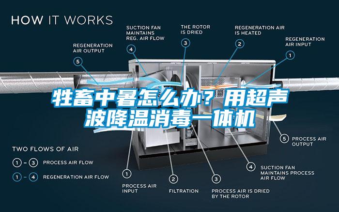 牲畜中暑怎么辦？用超聲波降溫消毒一體機(jī)