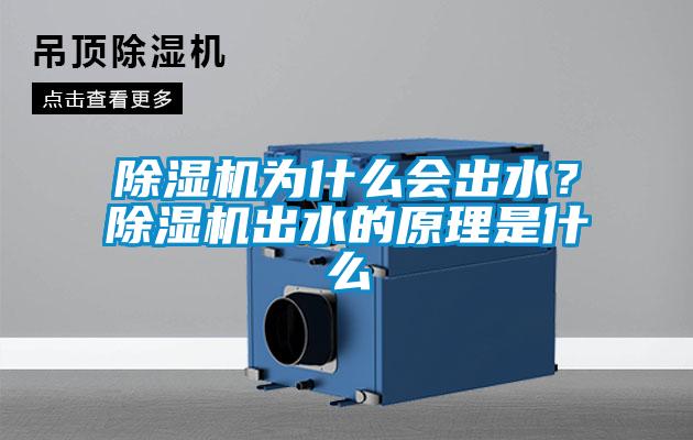 除濕機為什么會出水？除濕機出水的原理是什么