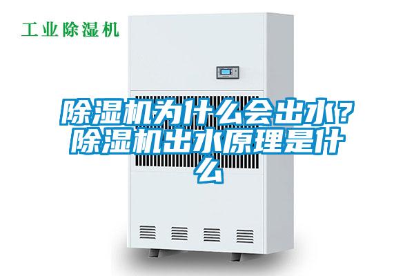 除濕機為什么會出水？除濕機出水原理是什么