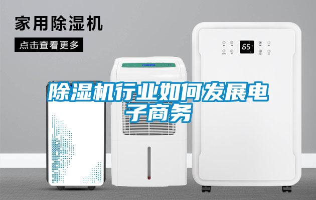 除濕機行業(yè)如何發(fā)展電子商務