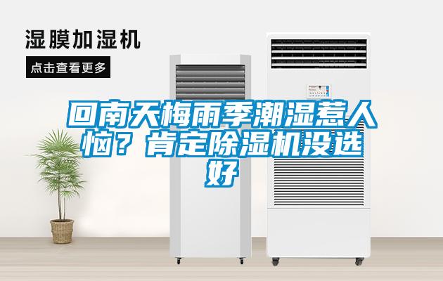 回南天梅雨季潮濕惹人惱？肯定除濕機(jī)沒選好