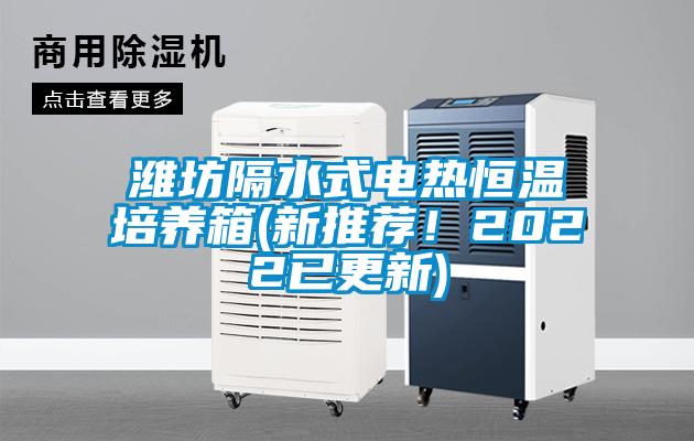 濰坊隔水式電熱恒溫培養(yǎng)箱(新推薦！2022已更新)