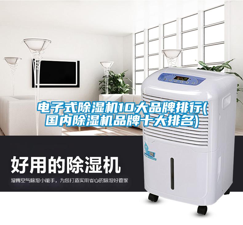 電子式除濕機(jī)10大品牌排行(國內(nèi)除濕機(jī)品牌十大排名)