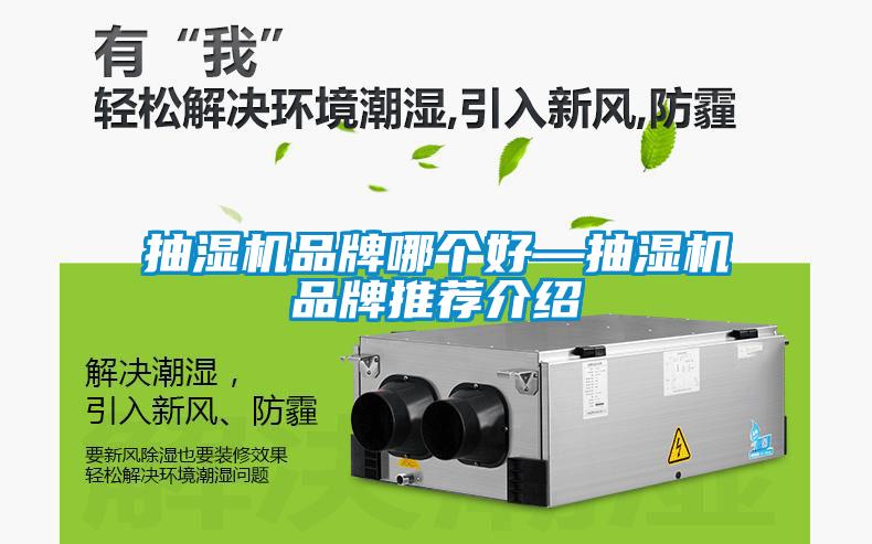 抽濕機品牌哪個好—抽濕機品牌推薦介紹