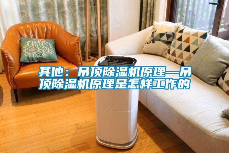 其他：吊頂除濕機原理—吊頂除濕機原理是怎樣工作的