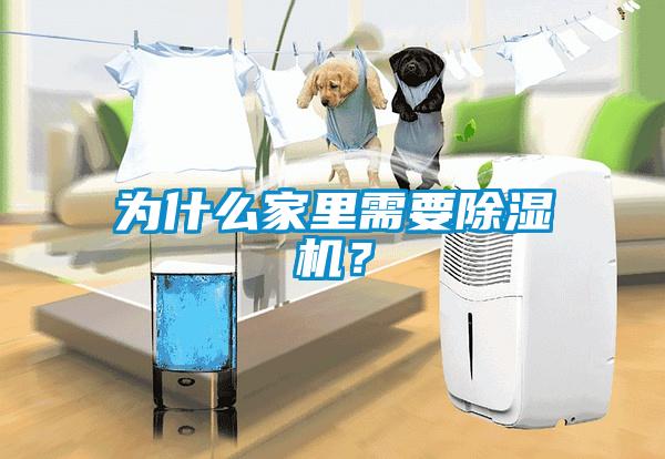 為什么家里需要除濕機？