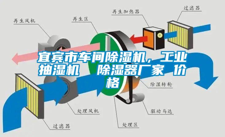 宜賓市車間除濕機，工業(yè)抽濕機  除濕器廠家 價格