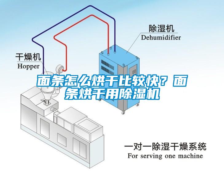 面條怎么烘干比較快？面條烘干用除濕機