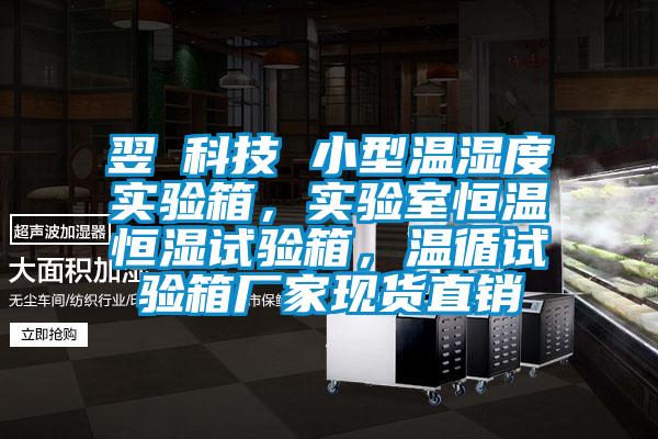 翌昇科技 小型溫濕度實驗箱，實驗室恒溫恒濕試驗箱，溫循試驗箱廠家現(xiàn)貨直銷