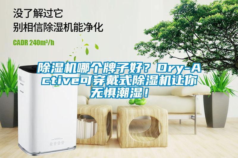 除濕機哪個牌子好？Dry-Active可穿戴式除濕機讓你無懼潮濕！