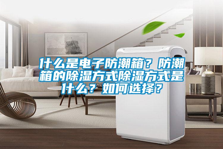 什么是電子防潮箱？防潮箱的除濕方式除濕方式是什么？如何選擇？