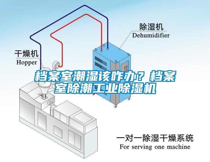 檔案室潮濕該咋辦？檔案室除潮工業(yè)除濕機