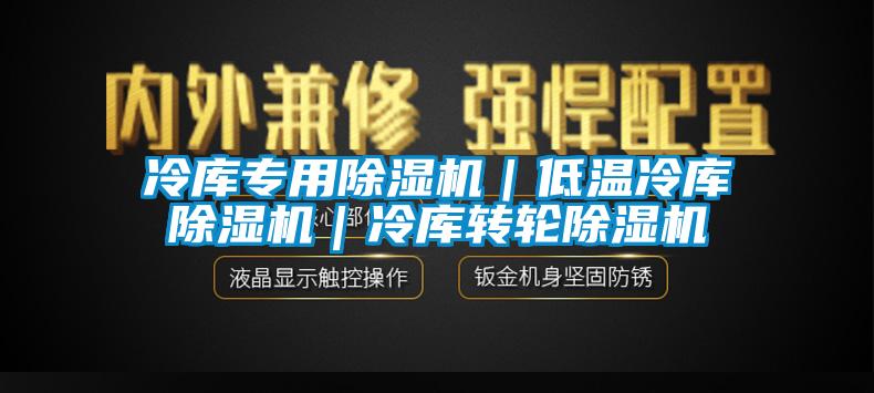 冷庫專用除濕機｜低溫冷庫除濕機｜冷庫轉(zhuǎn)輪除濕機