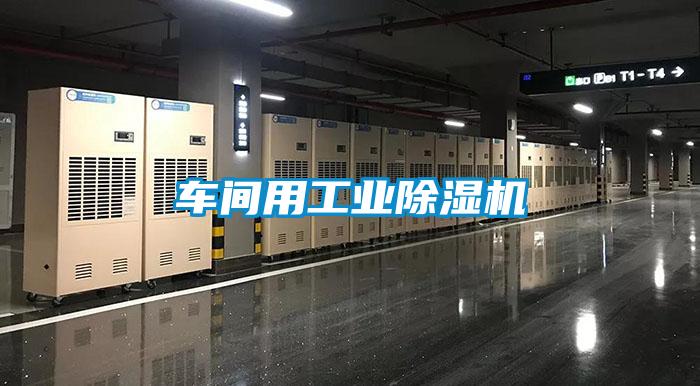 車間用工業(yè)除濕機(jī)