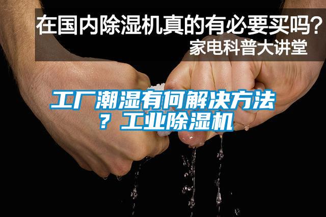 工廠潮濕有何解決方法？工業(yè)除濕機(jī)