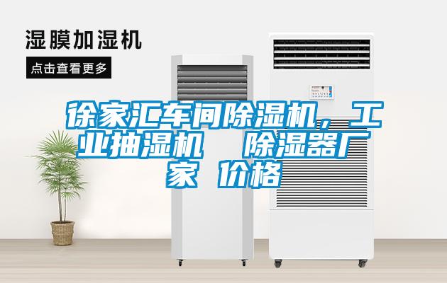 徐家匯車間除濕機，工業(yè)抽濕機  除濕器廠家 價格