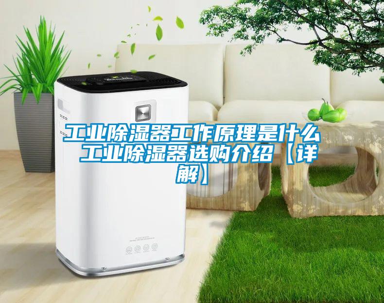 工業(yè)除濕器工作原理是什么 工業(yè)除濕器選購介紹【詳解】