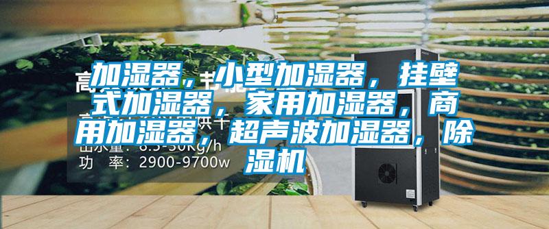 加濕器，小型加濕器，掛壁式加濕器，家用加濕器，商用加濕器，超聲波加濕器，除濕機(jī)