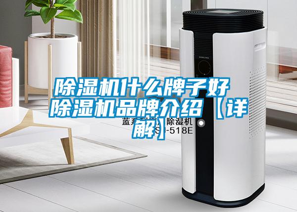 除濕機(jī)什么牌子好 除濕機(jī)品牌介紹【詳解】