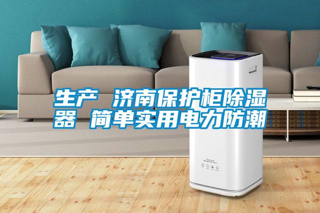 生產(chǎn) 濟南保護柜除濕器 簡單實用電力防潮