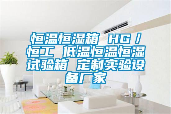 恒溫恒濕箱 HG／恒工 低溫恒溫恒濕試驗(yàn)箱 定制實(shí)驗(yàn)設(shè)備廠家