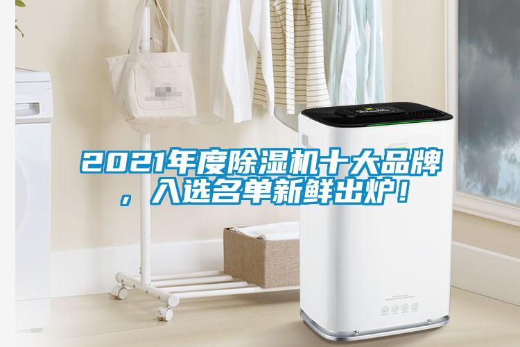 2021年度除濕機(jī)十大品牌，入選名單新鮮出爐！