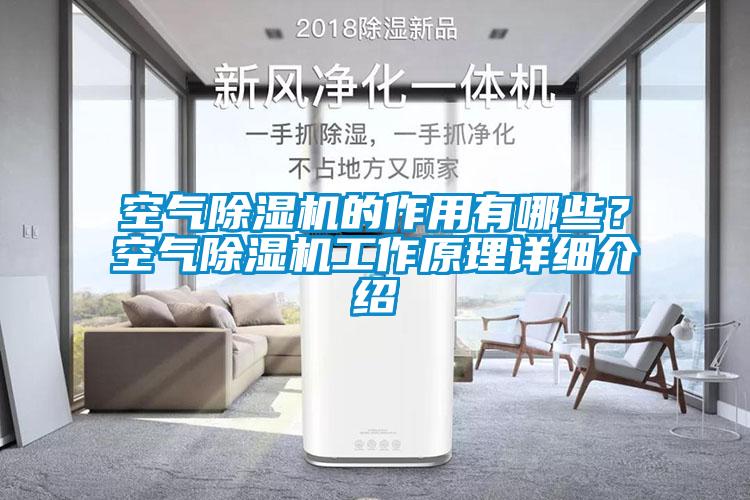 空氣除濕機的作用有哪些？空氣除濕機工作原理詳細(xì)介紹