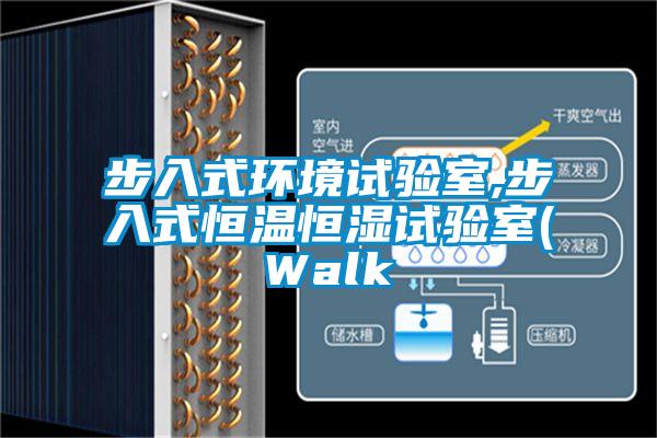 步入式環(huán)境試驗室,步入式恒溫恒濕試驗室(Walk