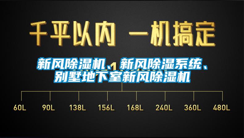 新風(fēng)除濕機(jī)、新風(fēng)除濕系統(tǒng)、別墅地下室新風(fēng)除濕機(jī)