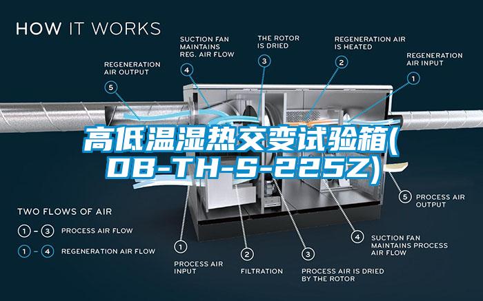 高低溫濕熱交變?cè)囼?yàn)箱(DB-TH-S-225Z)