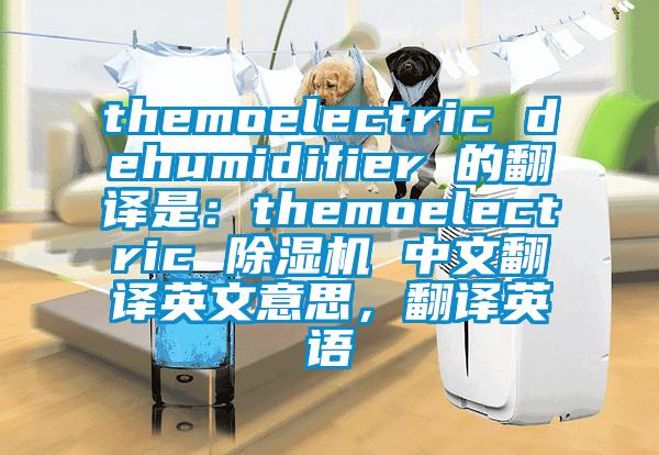 themoelectric dehumidifier 的翻譯是：themoelectric 除濕機(jī) 中文翻譯英文意思，翻譯英語