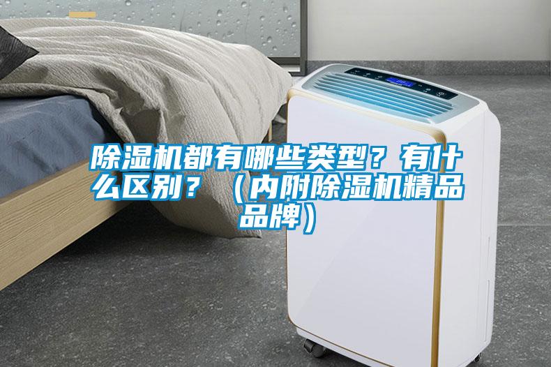 除濕機都有哪些類型？有什么區(qū)別？（內附除濕機精品品牌）