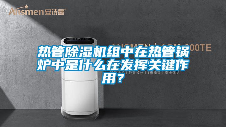 熱管除濕機組中在熱管鍋爐中是什么在發(fā)揮關(guān)鍵作用？