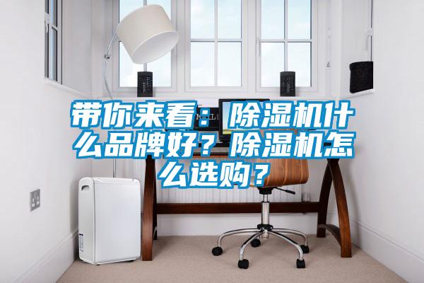 帶你來(lái)看：除濕機(jī)什么品牌好？除濕機(jī)怎么選購(gòu)？