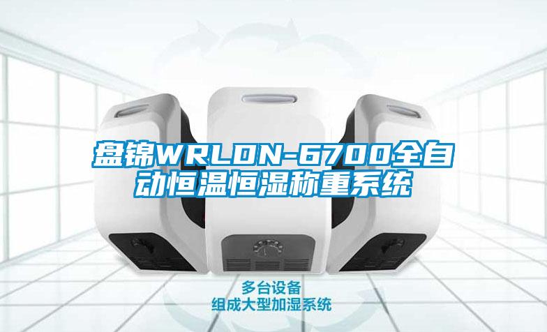 盤錦WRLDN-6700全自動恒溫恒濕稱重系統(tǒng)