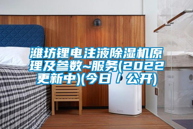 濰坊鋰電注液除濕機原理及參數~服務(2022更新中)(今日／公開)