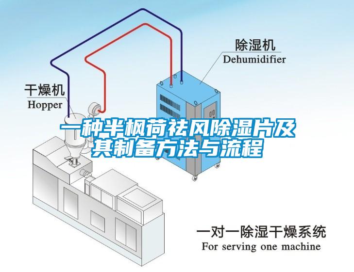 一種半楓荷祛風除濕片及其制備方法與流程