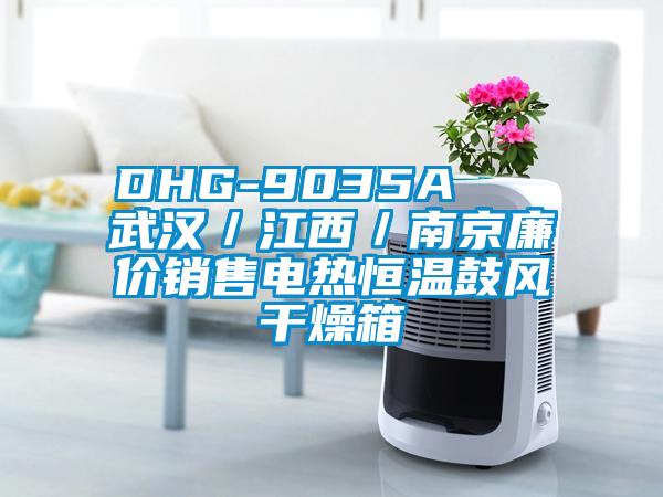 DHG-9035A   武漢／江西／南京廉價(jià)銷售電熱恒溫鼓風(fēng)干燥箱